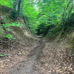 22-06-06 13-59-57 1066